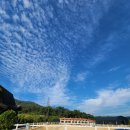 엘리트 승마스쿨 이미지