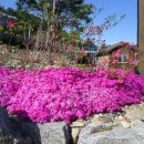 아름마루펜션 이미지