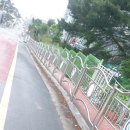 월전로 2 이미지