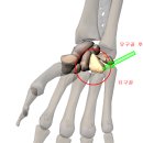 화목한의원 이미지