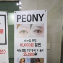 피오니왁싱 | 마곡 왁싱 : "피오니뷰티" 풀페이스왁싱 솔직후기