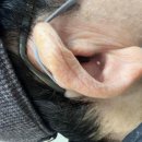 진심보청기 동작센터 | 동작구 보청기 진심보청기 동작센터 경험과 고객 후기