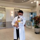 THE힘찬동물병원 | 울산 중구 동물병원 강아지 요척골 골절, 신중하게 병원을 선택해야 하는 이유?