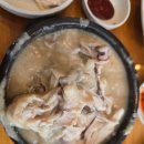 한본삼계탕 | ✔ 하루 2,000그릇! 들깨삼계탕의 성지, [한본삼계탕] 방문 후기 🐔