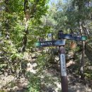 천보체육회 이미지