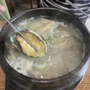 닭날선보는날