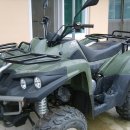 SNT ALT300 (S&T Motors ATV) (4륜 오토바이)신형 중고 사실분(취미로타실분)판매완료 이미지