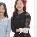레드셔터 이미지