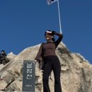 석관동닭한마리 이미지