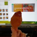 [푸르미] 집게다리품은 맛살 리얼리뷰 리얼후기 내돈내산