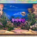 뮤지컬 부치하난 초연 노윤 이재림 후기