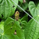 동우행정사합동사무소 이미지