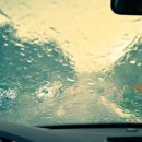 파파워시존 이미지