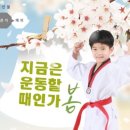 키즈 블랙벨트 태권도장 이미지