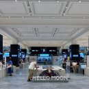 메가스페이스 - 동대문구 회기로 117 | 신세계 강남 팝마트 메가 스페이스 몰리: Hello, Moon 전시회 후기