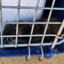 성진동물병원 이미지