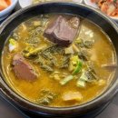 선지국밥 - 강릉시 | 선지국밥