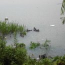 한강 자전거도로5 이미지