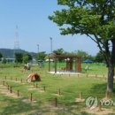 동락공원 반려동물 놀이터 이미지