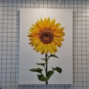 스마트합동공인중개사사무소 이미지