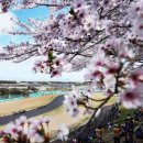 마이서킷 이미지