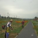 면사무소 - 밀양시 밀양대로 1761-4 | 면사무소