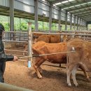 이창재 농장 이미지