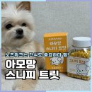 아모망