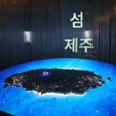 중문동-20 | 제주 자롤로뮤지엄 ｜ 서귀포 중문 신상 3D 미디어아트전시 체험관 아이와 함께 실내데이트 추천