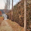 동물식물 생태체험교실 | 용인 곤충 박물관 테마파크 생태체험 리뷰 - 입장료, 코스 총정리