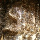 건강한 봉군만들기 위한 7월꿀벌관리(꿀벌지기오백영) 이미지