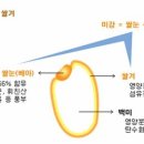 미강이 이렇게 좋은거네요.^^ 이미지