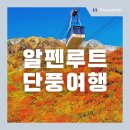 단풍 | 알펜루트 단풍 패키지 여행 총정리 (적기, 비용, 후기, 날씨)