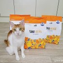 꼬뜨레아 | 가성비 좋은 고양이 모래, 꼬뜨샌드 베이지 벤토나이트 후기
