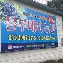 김영진농장 이미지