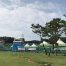 강화공설운동장_축구장 이미지