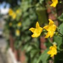 중부자원 이미지