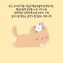 선도상사