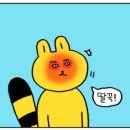 디자인디 이미지