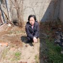 일등농약종묘도매상사 Daum카페