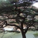 춘천호반(삼악산) 이미지