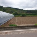 신구리농장 이미지