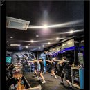 메이져 복싱 이미지