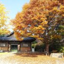 금학산관광농원 이미지