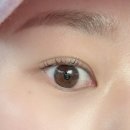 남악3로 | [남악] '네이비네이비' 속눈썹펌 솔직 후기 | 또렷한 눈매 완성!