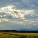 여주-1052 이미지