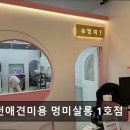 멍미살롱 이미지