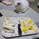 꾸브라꼬 연산점 이미지