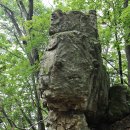 도마치로 이미지