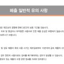 옥토